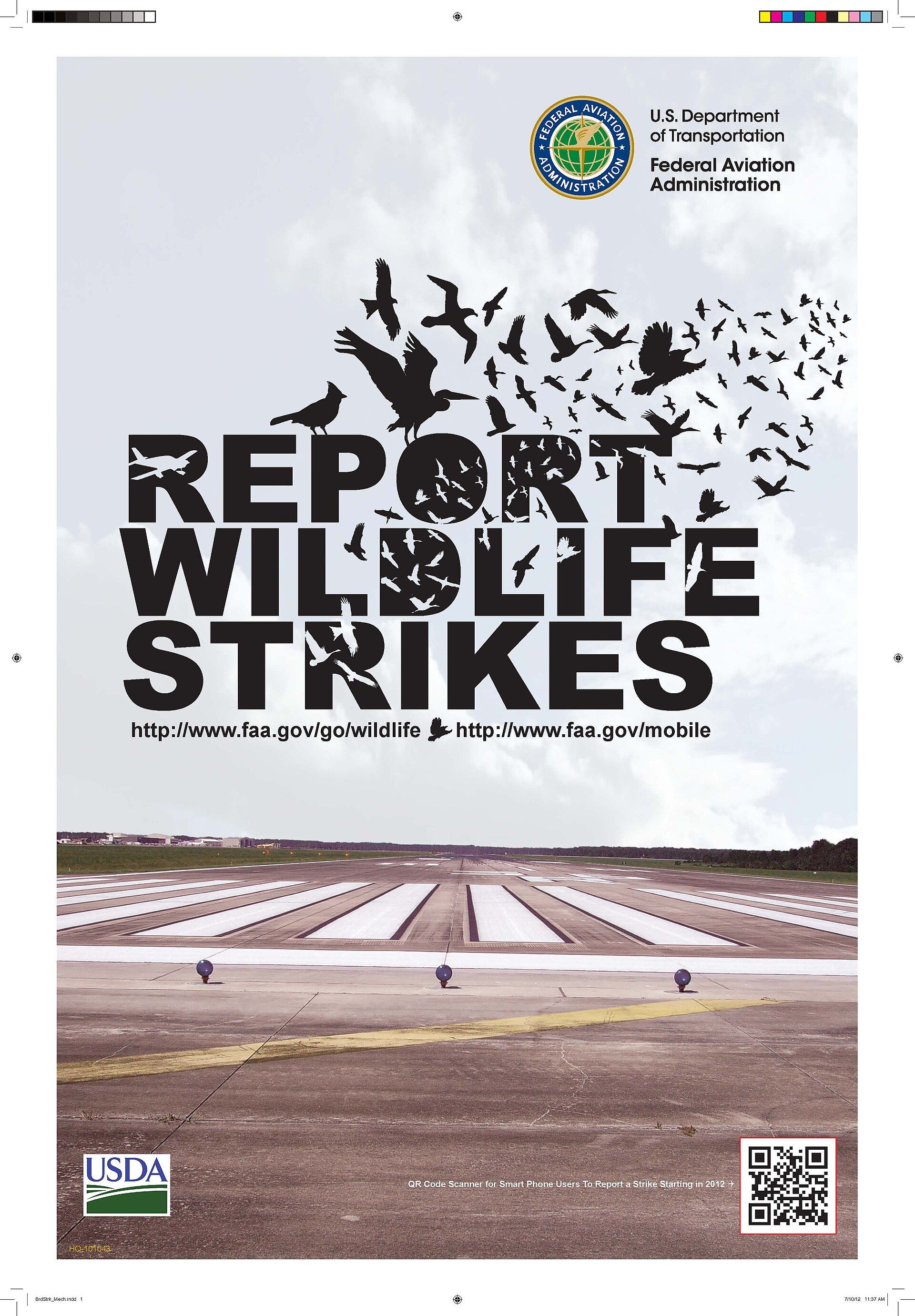FAA's Expanded Light-Sport Rules Reshape Affordable General Aviation